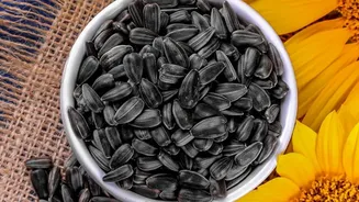 Using Sunflower Seeds In Breakfast Bowls: Understanding Sunflower Seeds At Breakfast