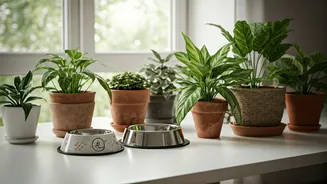 Pet Health Is Changing Home Plant Choices