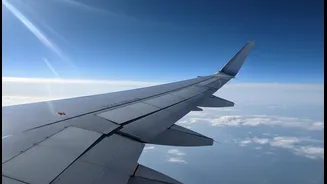 Reliable Flight Timings Are Becoming A Bigger Travel Priority