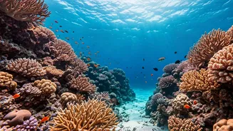 Dive In! India's Top 7 Scuba Hotspots Beyond the Obvious - Explore Underwater Wonders