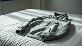 Ariana's Hoodies: A Deep Dive