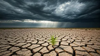 Rainfall Deficit Hits 46% As Mumbai Finally Sees Monsoon