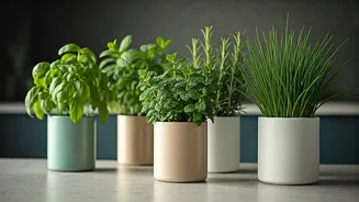 Kitchen Herbs Are The New Small-Home Essential