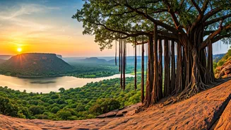 This Viral Madhya Pradesh Travel Guide Is Absolute Heaven