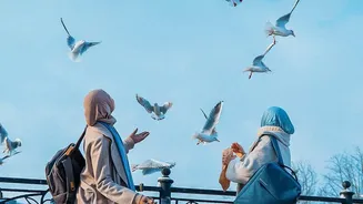 Noticing City Wildlife: Why Morning Urban Walks Offer Better Bird Spotting Opportunities Now