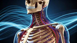 Midlife Fitness Pivot: Smart Training for Your 40s & 50s to Sidestep Injury