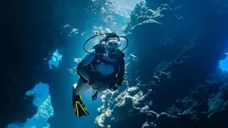 Your First Scuba Dive Is About Control, Not Depth
