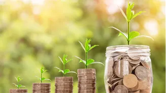 Indians with ₹100cr+ income touches 5-year high, says Finance Ministry