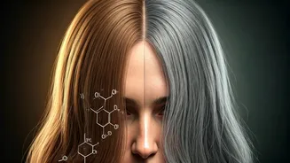 Greying Hair? The Silent Chemicals in Dyes Accelerating Aging & Healthier Alternatives