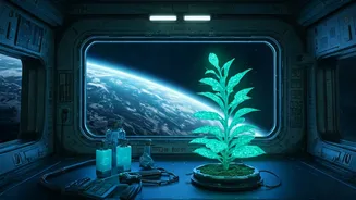Plants Could Grow Fresh Medicines In Space Soon