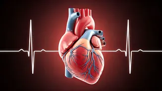 Daily Astrological Predictions: November 5, 2025