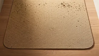 Viral Hack: Diatomaceous Earth Mats Keep Entryways Mud Free