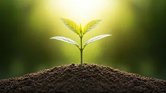 5 Proven Ways to Nurture Your Child's Unshakeable Confidence