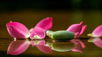 Rekha's Secrets: Timeless Beauty Unveiled