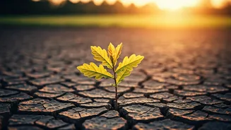 Cultivating Inner Strength: David Hume's Wisdom for Raising Resilient Children