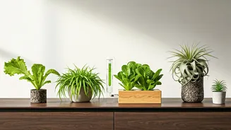 Green Corners Without Soil Are Surprisingly Tempting