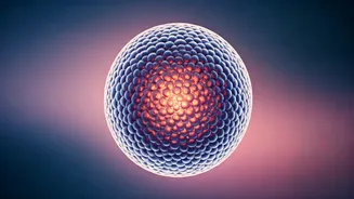 Bryan Johnson's 9-Year Skin Age Reversal: A Deep Dive into His Biohacking Blueprint