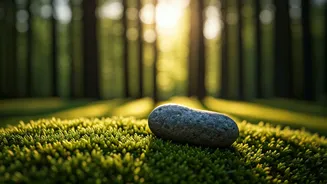 8 Calming Activities for a Peaceful Mind