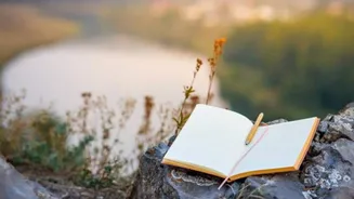 A beginner's guide to nature journaling