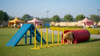 Jaipur's New Mega Pet Carnival Adds More Detail to Civic Pet-Service Planning
