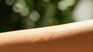 Summer Skin Refresh: Expert Tips for a Luminous & Healthy Glow All Season Long