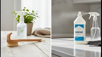 Low-Chemical Monsoon Cleaning Shows why Renters and Home Cleaners Still Need to Use Proper Disinfection when Health Risks Demand It