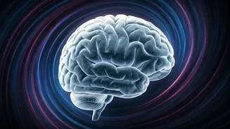 What Happens When You Don't Get Enough Sleep?