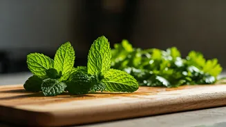 Mint And Coriander Make Everyday Cooking Better