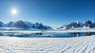 Trump's Controversial Statements on NATO, Ukraine, and Greenland