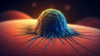 Sonali Bendre's Cancer Journey: The Crucial Impact of Early Detection