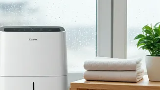 Simple Rainy Season Habits Worth Following