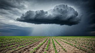 Uneven July Rain Could Complicate Household Spending