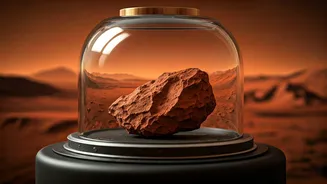 Mars Rocks: A Long Journey Home Awaits