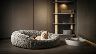 Luxury Pet Boarding Innovations In Mumbai, Bengaluru Now