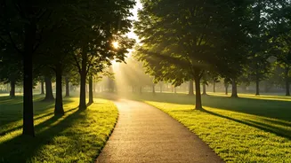 Evening & Morning Walks: Boost Health & Wellbeing in India