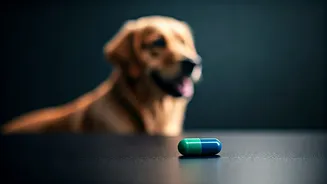 Science Unveils Promising Pill to Extend Canine Lifespans: A New Era for Pet Owners