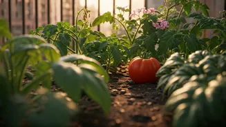 Urban Gardens Are Changing Lifestyles
