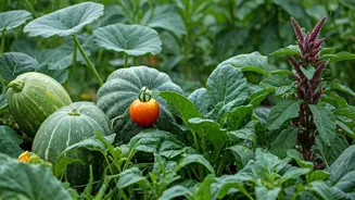 Grow More, Spend Less With These Rainy Vegetables