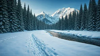 Gesause National Park: Austria's Ultimate Winter Snowshoeing Adventure Awaits!