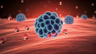 Gut health: A return to Indian roots