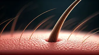 Can Oral Minoxidil Stop Hair Loss?