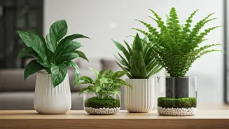 Plant Parents Want Green Corners Without Mud Drama