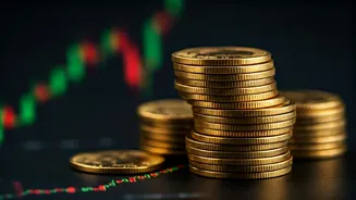 Understanding IPOs and Market Dynamics in India