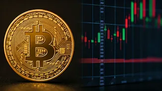 Digital Gold Feels Easy, ETFs Feel Structured