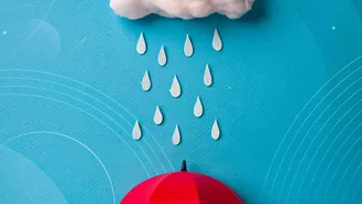 Plans For Rainy-Season Packing Need Clear Decisions On Documents And Laundry