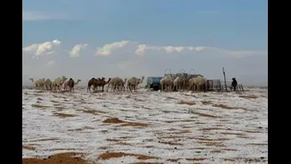 GK: Which Is The Only Country In The World Where There Is No River?