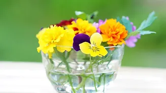 Floral Decor and a Simple Menu Shape a Garden Gathering