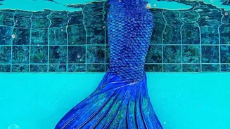 Swimming And Dancing Both Increase Activity Without The Same Routine