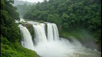 Nature Lovers, Western Ghats Await This Rainy Season
