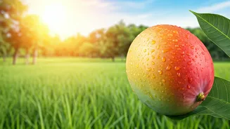 Goa's Young Farmer: Inspiring a Generation